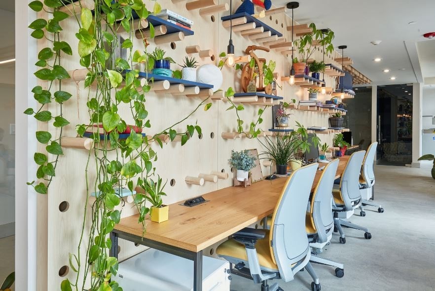 למה כדאי להכניס צמחי בית למשרדים ולבנייני ההייטק שלנו?