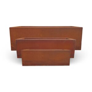 אדנית קורטן